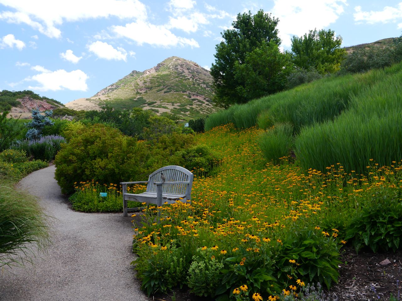 Red Butte Garden bench